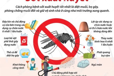 Chủ động phòng, chống bệnh sốt xuất huyết!